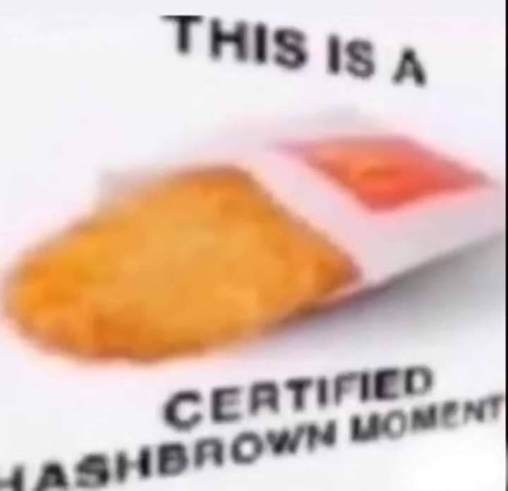 low resolution meme of a McDonald's hashbrown with the text 'this is a certified hashbrown moment'